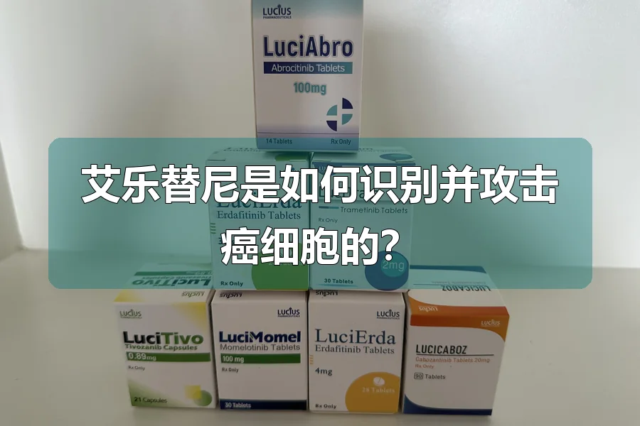 艾乐替尼是如何识别并攻击癌细胞的？